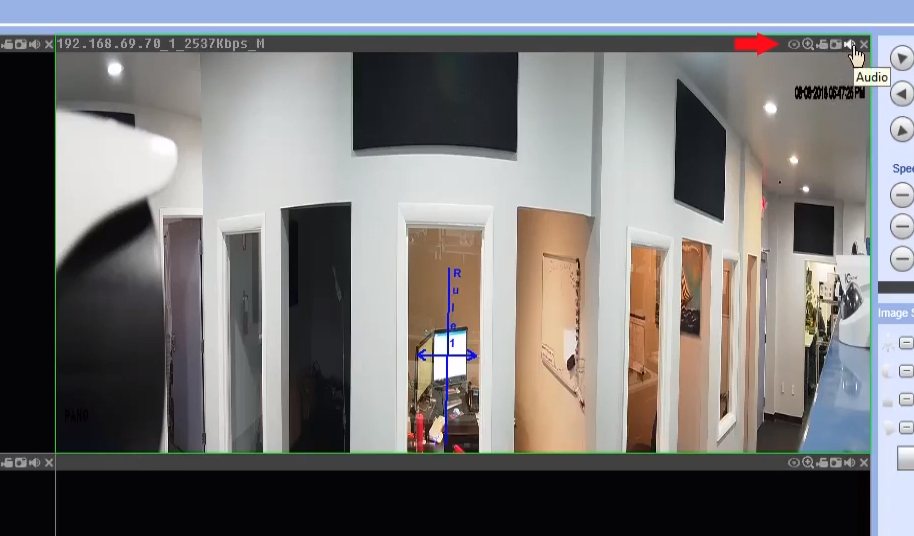 Audio Setup (NVR/ AVR and cameras) – ICRealtime